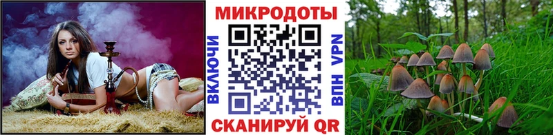 Галлюциногенные грибы MAGIC MUSHROOMS  Купить  Нюрба 